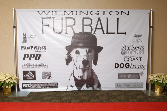 09-furball-pict-001