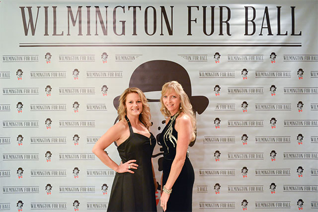 furball-0006-2013067-79