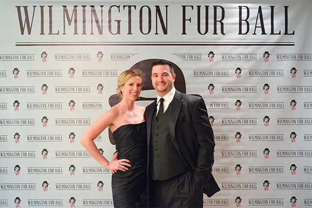 furball-0011-2013067-64
