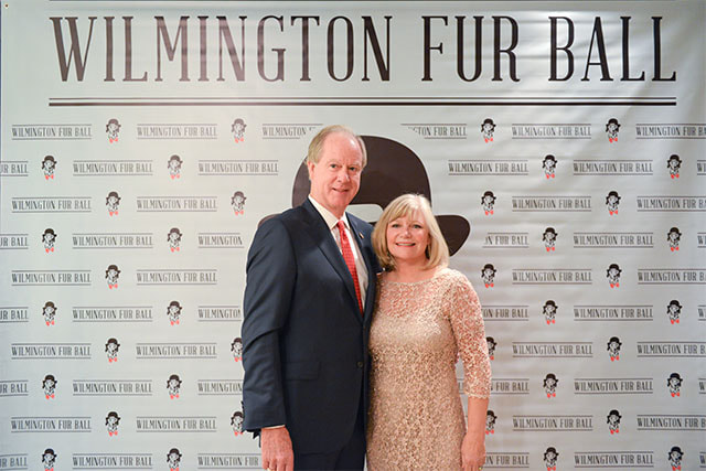 furball-0028-2013067-37
