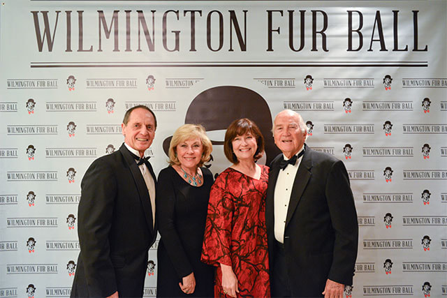 furball-0030-2013067-33