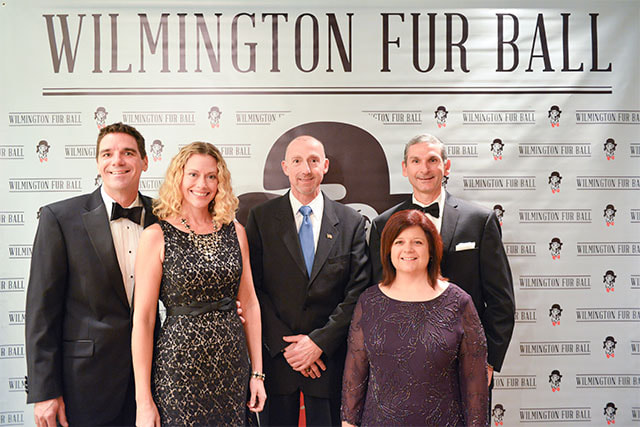 furball-0037-2013067-20