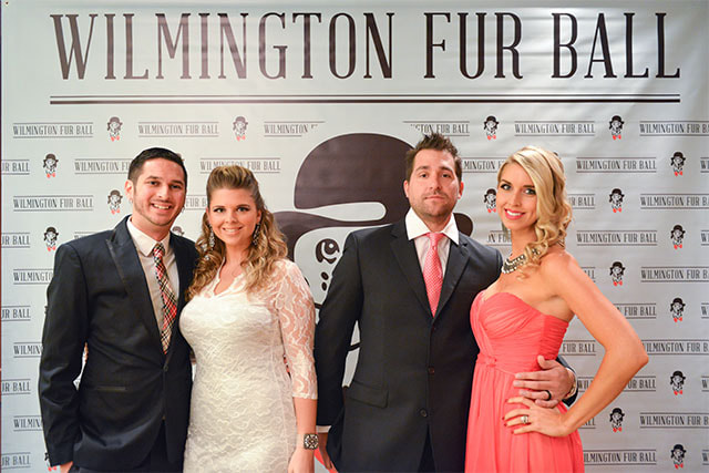 furball-0045-2013067-6