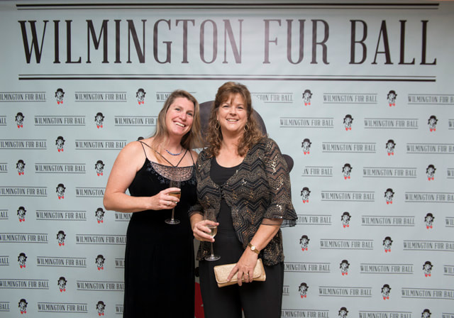furball2014-02