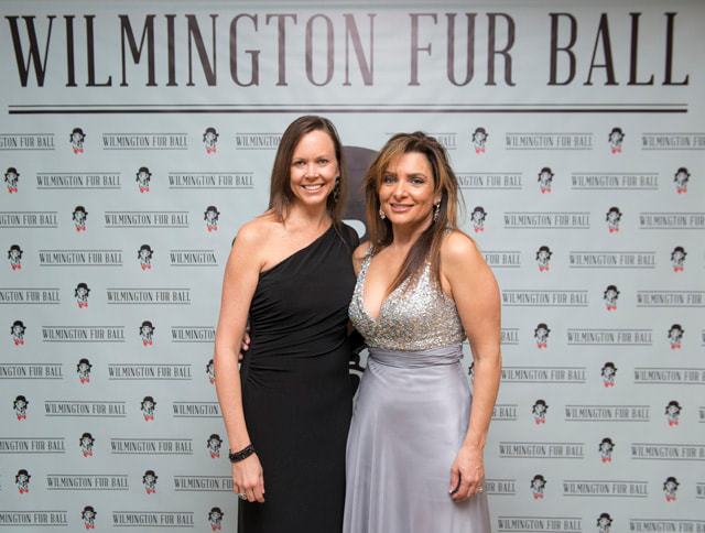furball2014-03