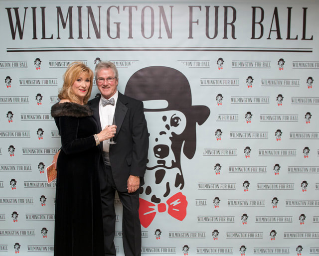 furball2014-07