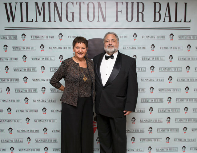 furball2014-08
