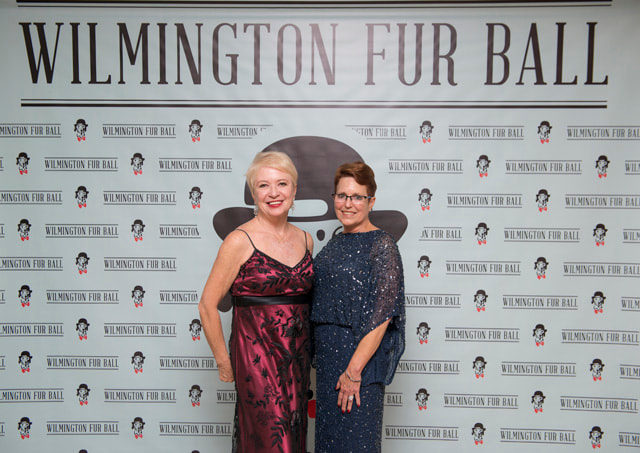 furball2014-12