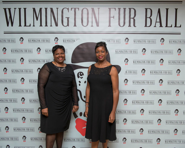 furball2014-49