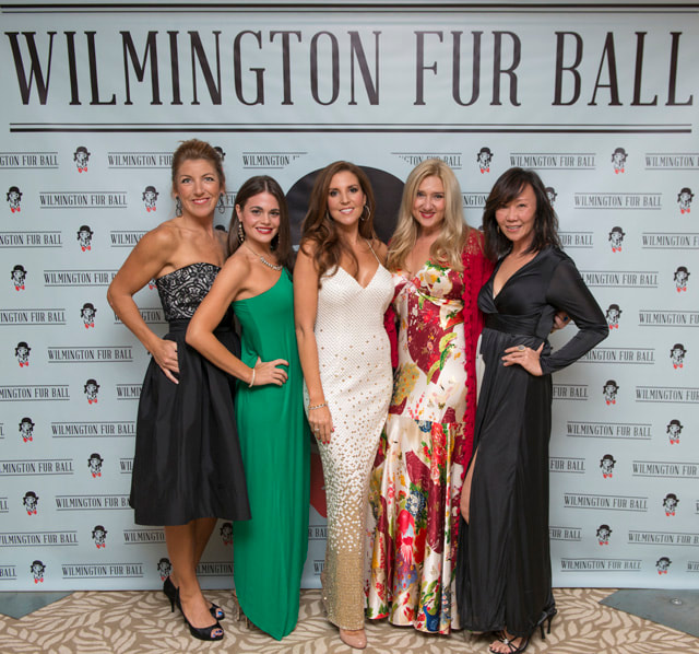 furball2014-55