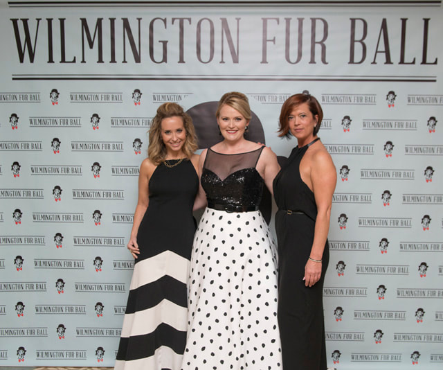 furball2014-56