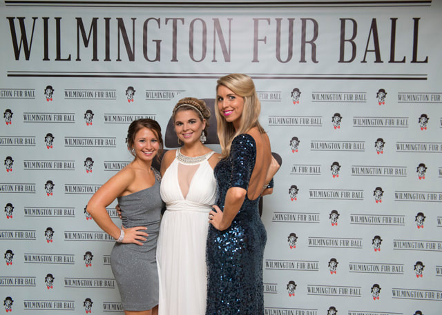 furball2014-69