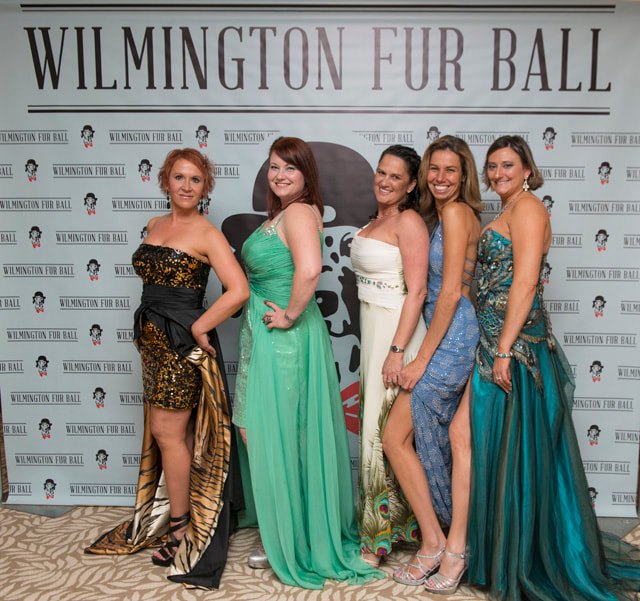 furball2014-78