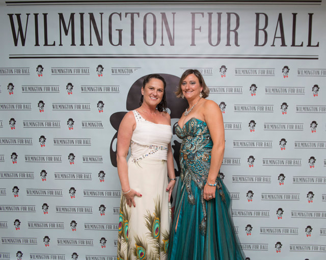 furball2014-79