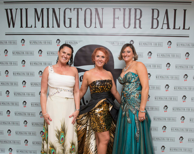 furball2014-80