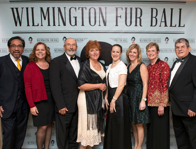 furball2014-81