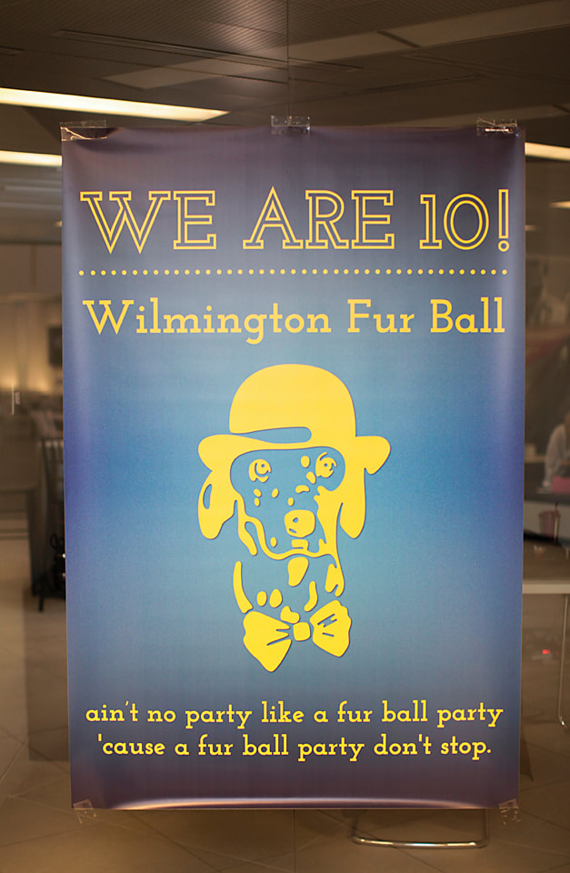 furball20150001-2