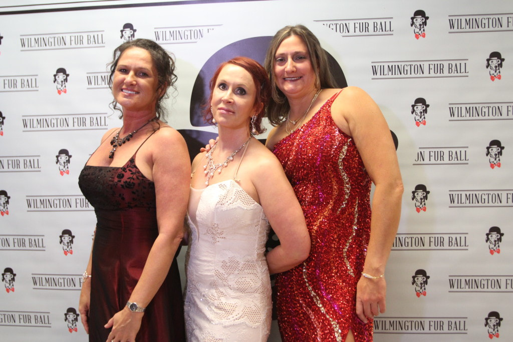 img-0927-1024x683