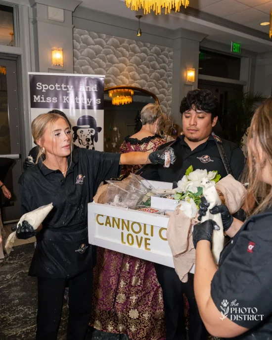 the_photo_district-510