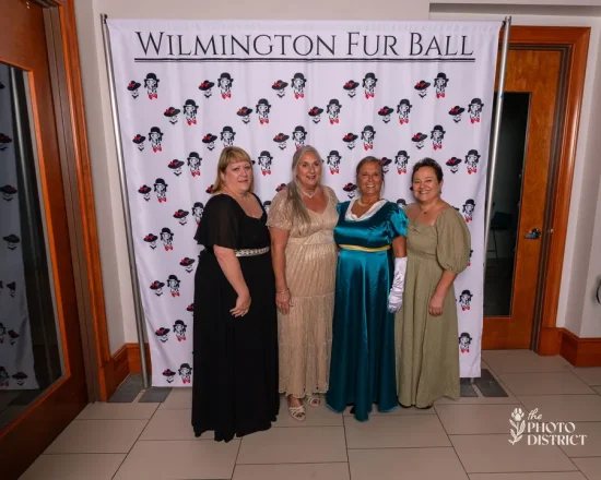 the_photo_district-657